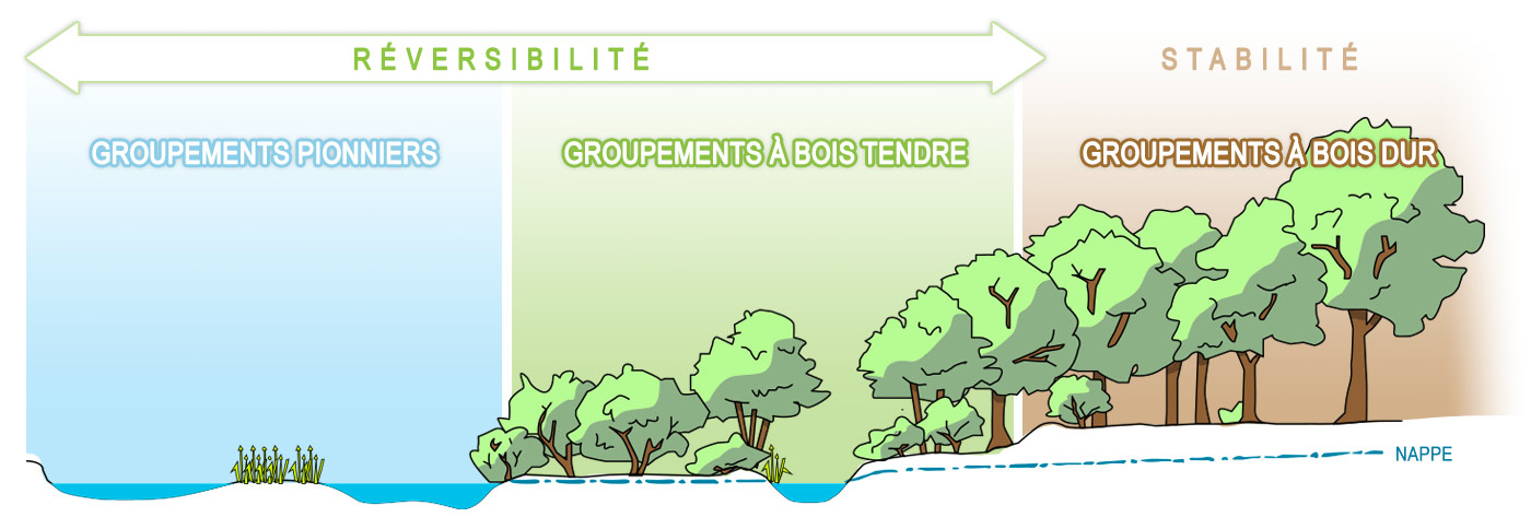 SMETAP - Syndicat mixte d'études et de travaux pour l'aménagement de la rivière Dordogne